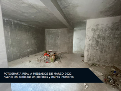 Canarias - Campaña 11 | briq.mx