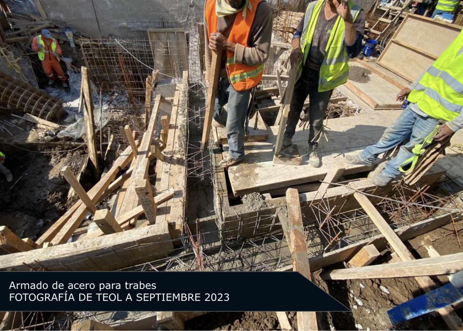 Teol - Campaña 2 (imagen 4 de 9) | briq.mx