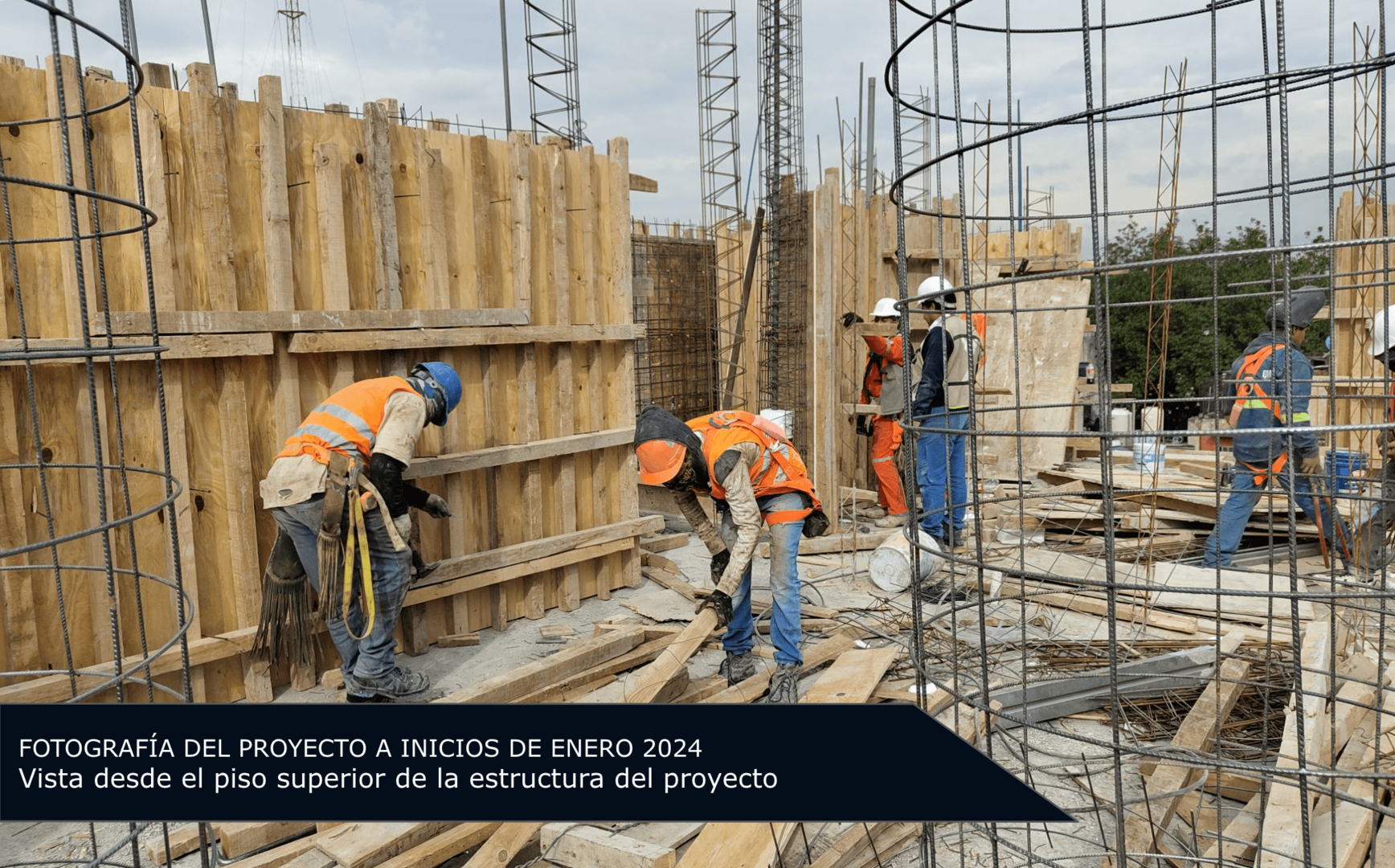 Teol - Campaña 5 (imagen 4 de 11) | briq.mx
