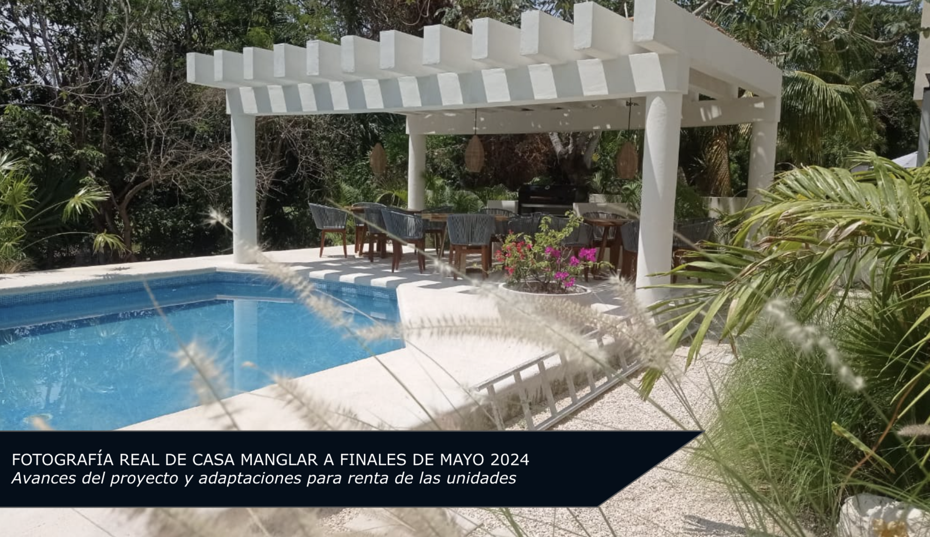 Casa Manglar - Campaña 3 (imagen 5 de 12) | briq.mx