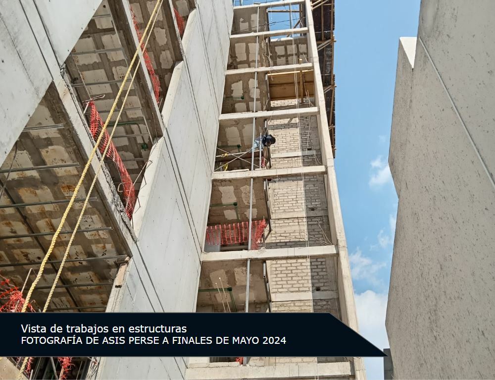 Asís PerSe - Campaña 3 (imagen 3 de 13) | briq.mx